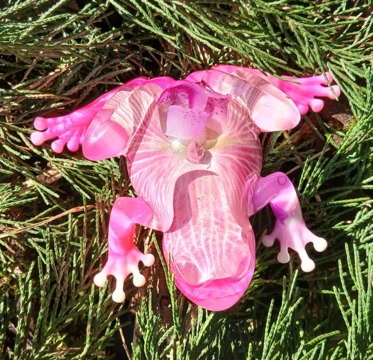 Grenouille et orchidée rose