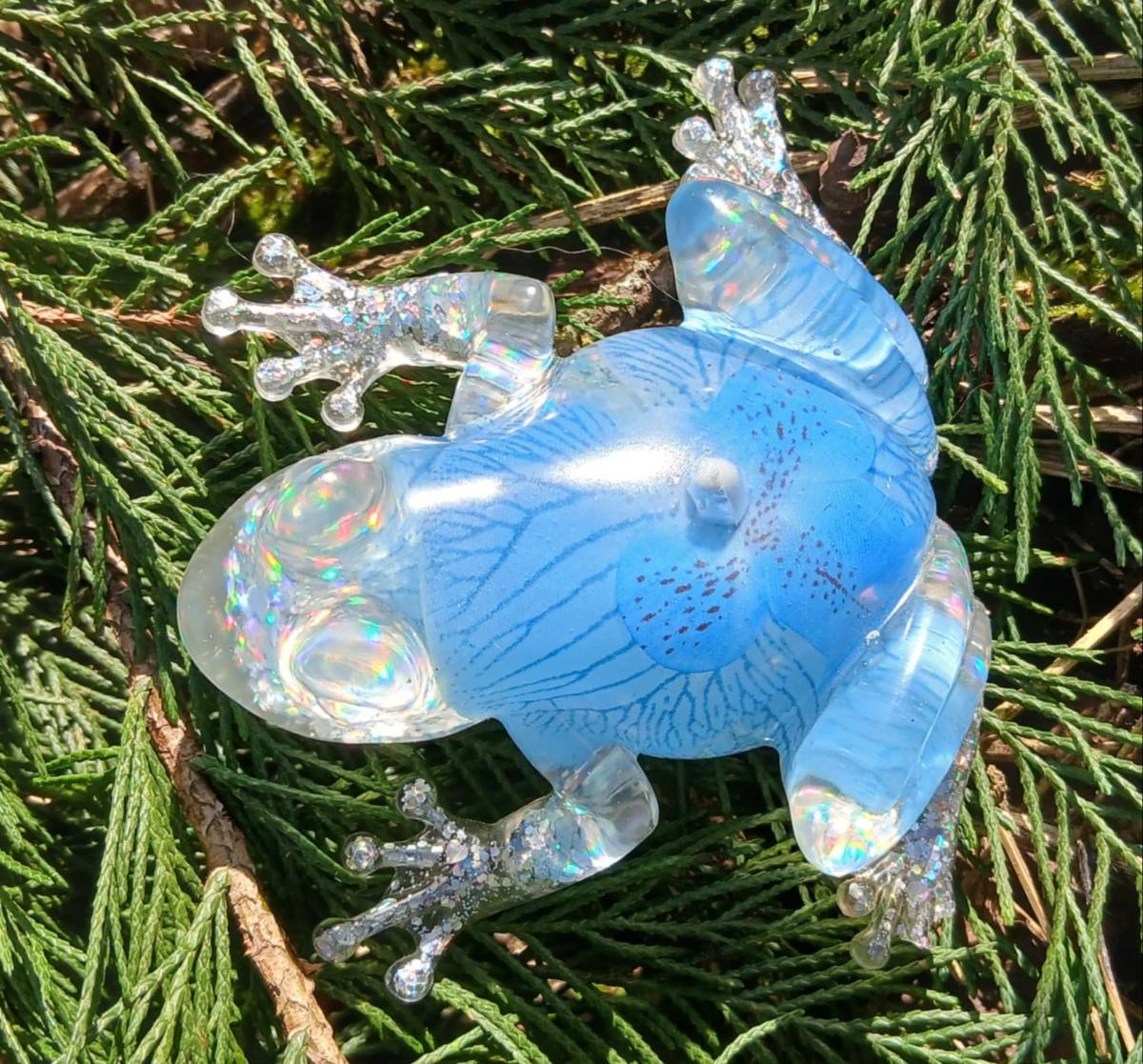 Grenouille et orchidée bleu