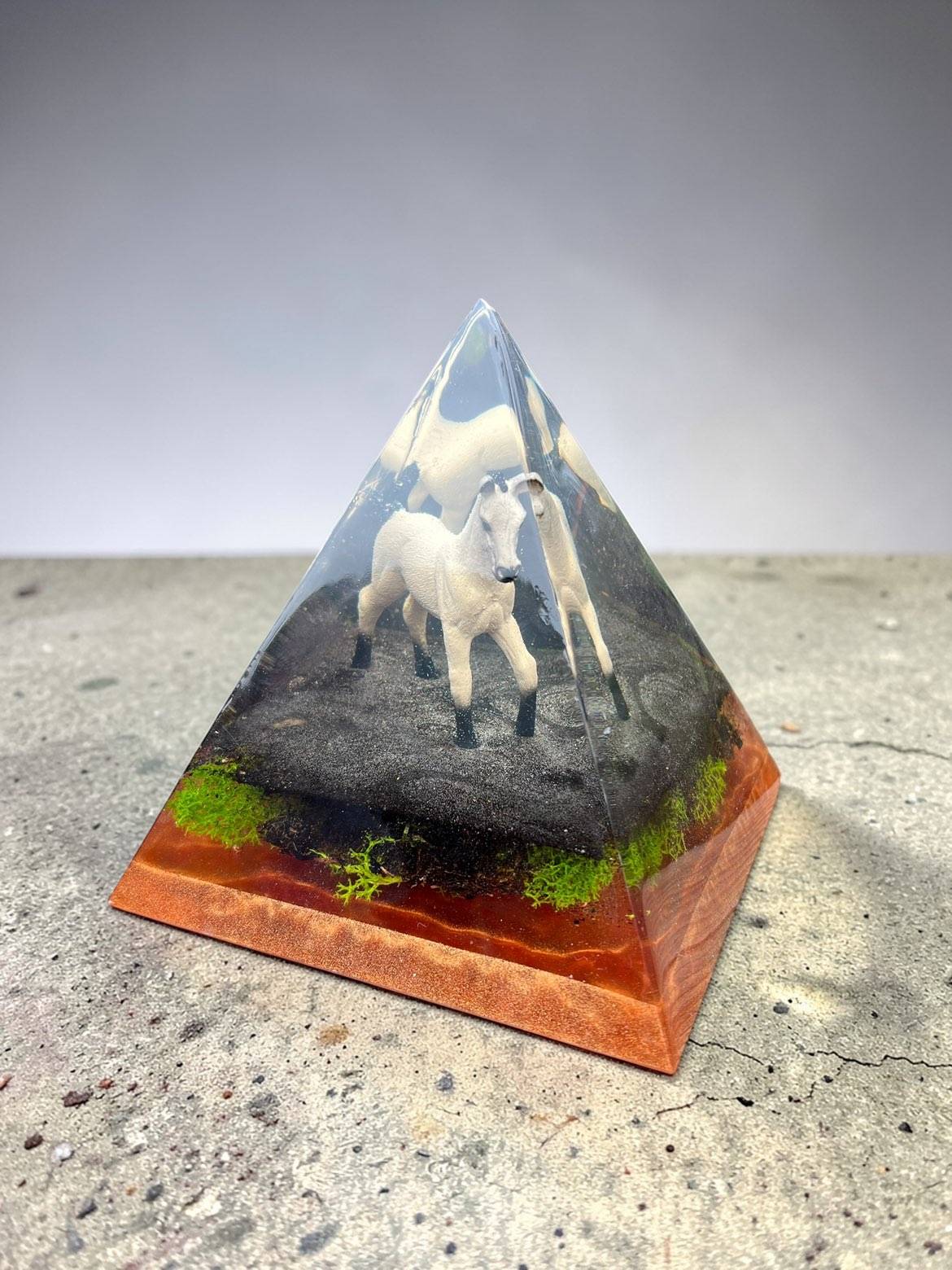 Pyramide cheval sauvage