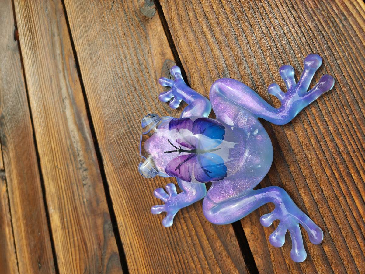 Grenouille enchantée 